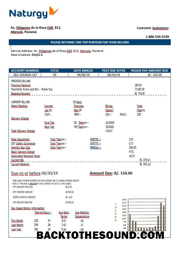 İndir Panama Naturgy Elektrik Şirket in Word Format Örnek şablon