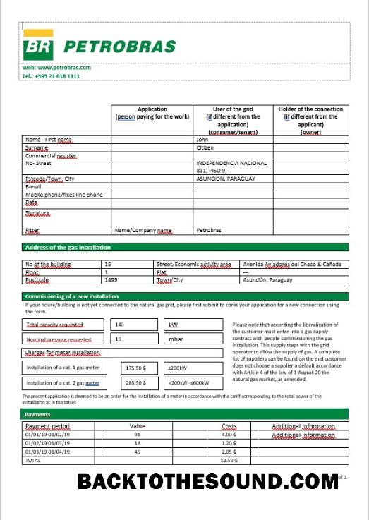 İndir Paraguay Petrobras Paraguay Operations and Logistics Gaz Şirket in Word Format Örnek taslak