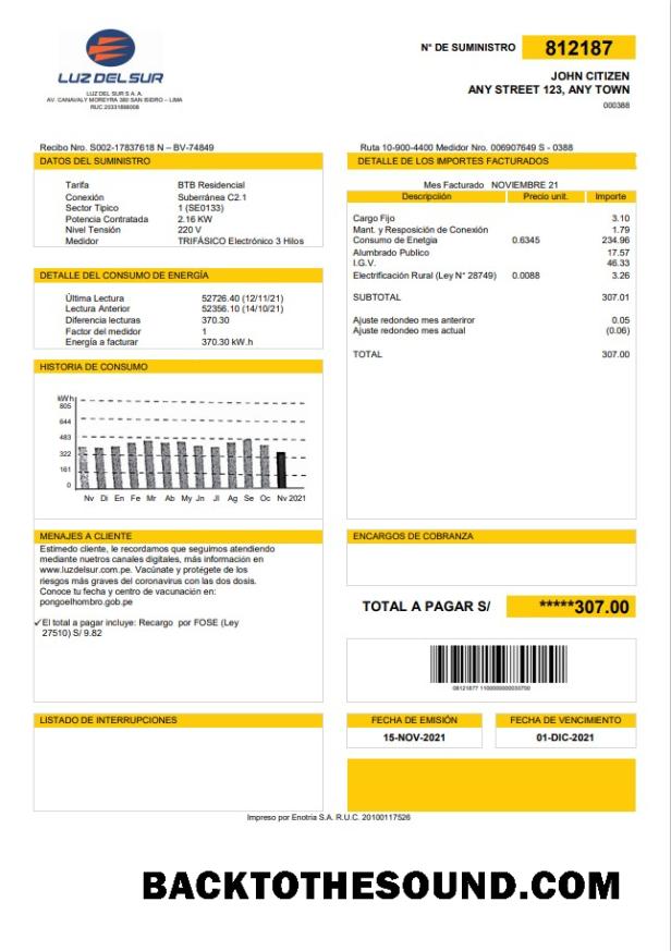 İndir Peru Luz de Sur Fatura Fatura in Word and PDF Format, fully Düzenlenebilir Örnek örnek
