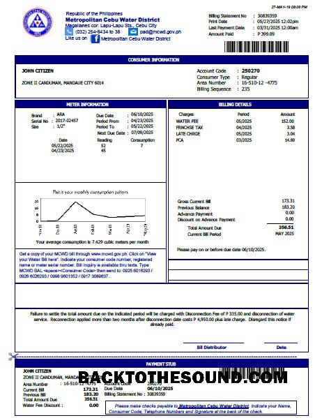 İndir Filipinler Metropolitan Cebu Su District Fatura Fatura in Word and PDF Formatlar, Sürüm 2 Örnek tasarım