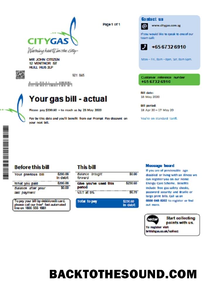 İndir Singapur City Gaz Fatura Fatura in Word and PDF Format Örnek ön izleme