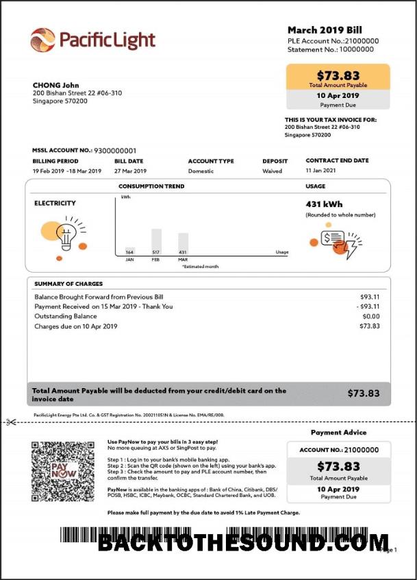 İndir Singapur Pacific Light Elektrik Fatura Fatura in Word and PDF Format Örnek taslak