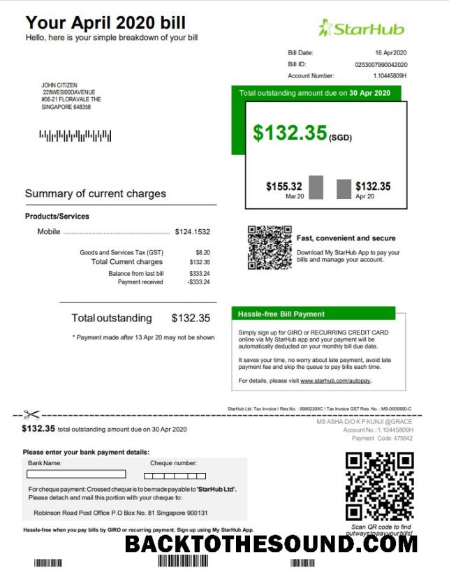 İndir Singapur StarHub Fatura Fatura in Word and PDF Format Örnek ön izleme