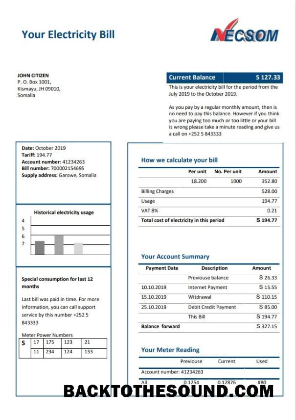 İndir Somali NESCOM Şirket Elektrik Fatura Fatura in Word and PDF Format Örnek taslak