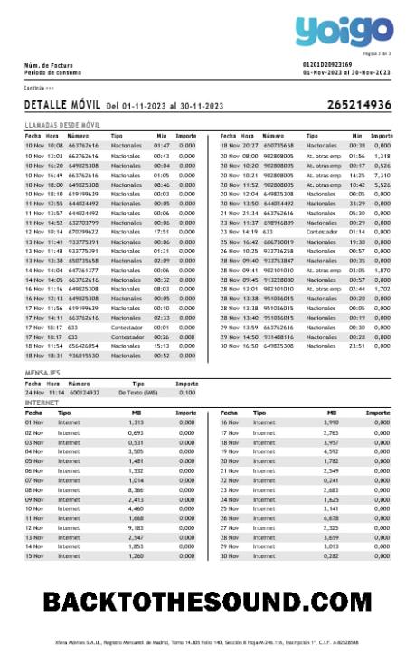 İndir İspanya Yoigo internet Fatura Fatura in Word and PDF Formatlar, 3 pages. Örnek örnek