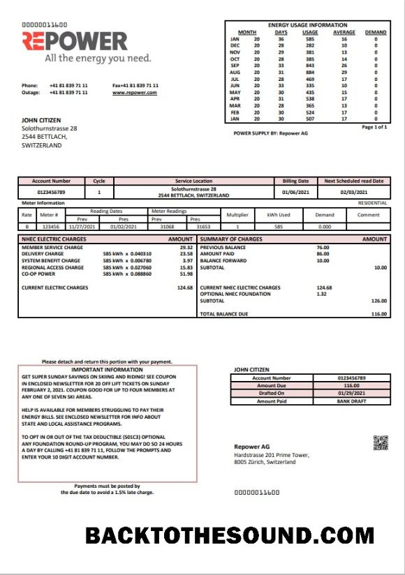 Yüksek Kalite İndir İsviçre Repower AG Fatura Fatura Şablon, fully Düzenlenebilir in Word and PDF Format Örnek
