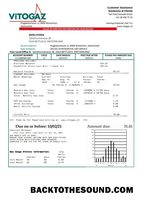 Gerçekçi İndir İsviçre Vitogaz İsviçre AG Fatura Fatura Şablon, fully Düzenlenebilir in Word and PDF Format Örnek