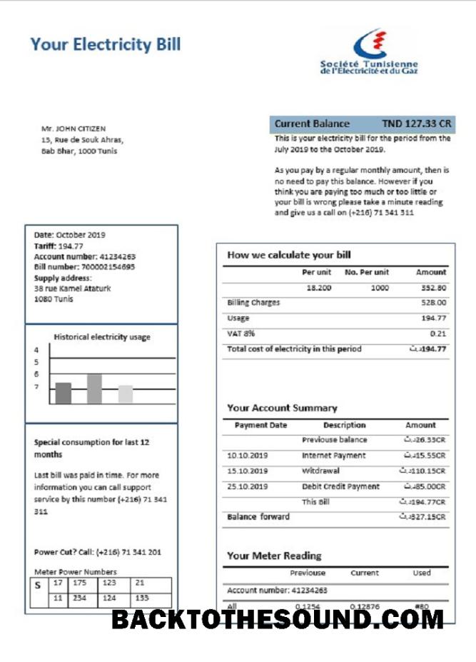 İndir Tunus Elektrik proof of address Fatura Fatura in Word and PDF Format Örnek tasarım