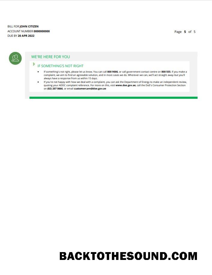 İndir BAE Dubai Al Ain Distribution Co. Word and PDF Fatura Fatura (5 pages) 5 Örnek şablon
