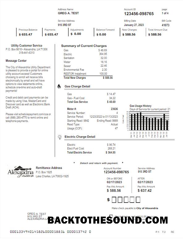 İndir ABD ALEXANDRIA Fatura Fatura Word and PDF Örnek şablon