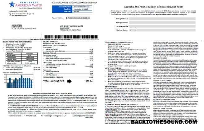 İndir ABD American Su Fatura Fatura in Word and PDF Formatlar, 2 pages, Sürüm 2 Örnek örnek