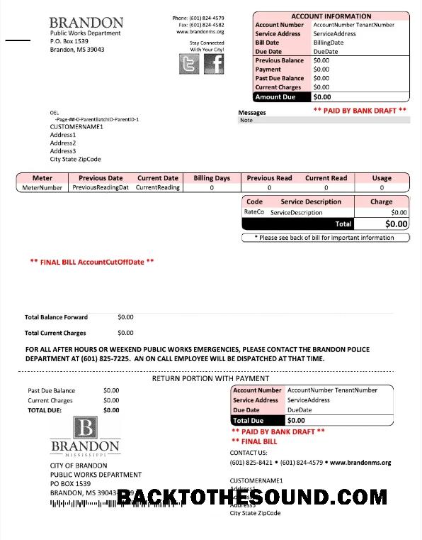 İndir ABD BRANDON MISSISSIPPI Fatura Fatura Word and PDF Örnek tasarım