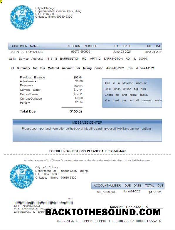 İndir ABD CITY OF CHICAGO Fatura Fatura Word and PDF Örnek taslak