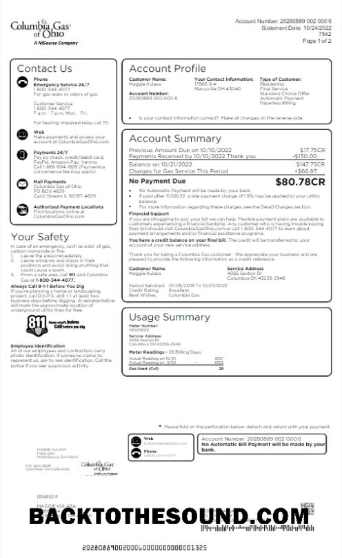 İndir ABD COLUMBIA Gaz OF OHIO Fatura Fatura Word and PDF Örnek örnek