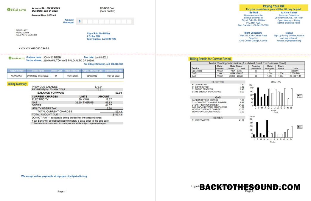 Profesyonel İndir ABD California Palo Alto Fatura Fatura, Word and PDF Şablon, 2 pages Örnek
