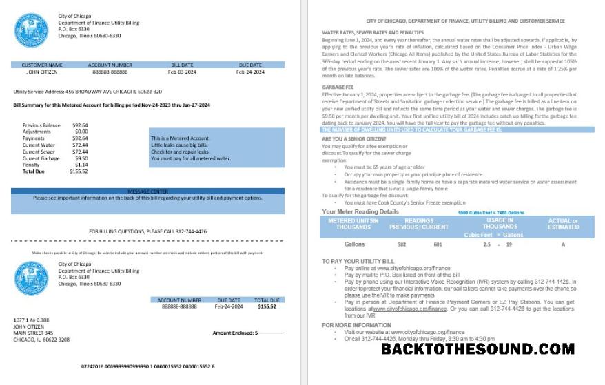 İndir ABD City of Chicago department of Finans Fatura Fatura Hesap Özeti in Word and PDF Formatlar Örnek taslak