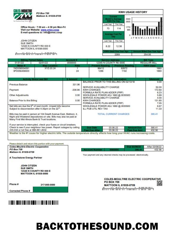 İndir ABD Coles – Moultrie Fatura Fatura in Word and PDF Format Örnek şablon