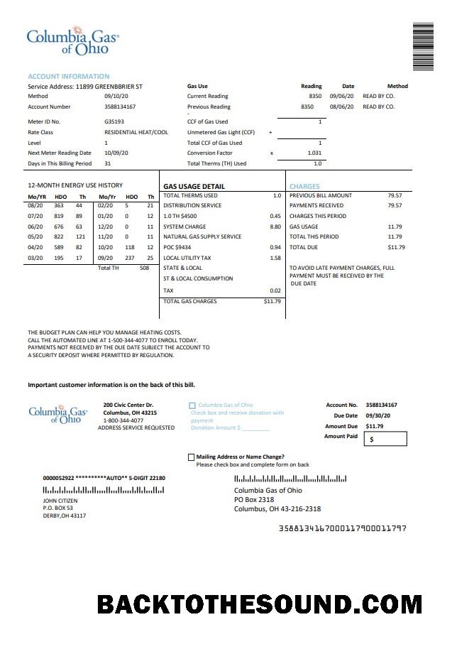İndir ABD Columbia Gaz of Ohio Fatura Fatura in Word and PDF Format Örnek ön izleme