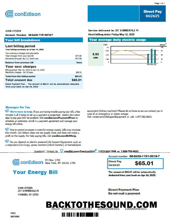 İndir ABD Conedison Fatura Fatura in Word and PDF Formatlar, Sürüm 2 Örnek taslak
