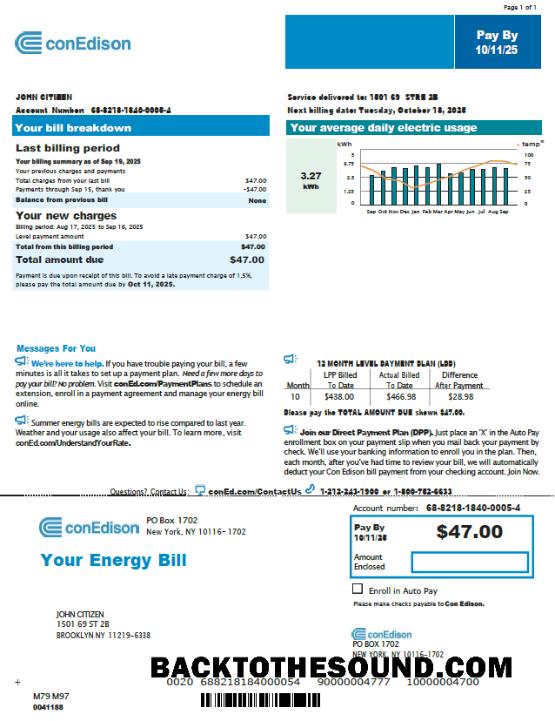 İndir ABD Conedison Fatura Fatura in Word and PDF Formatlar, Sürüm 3 Örnek şablon