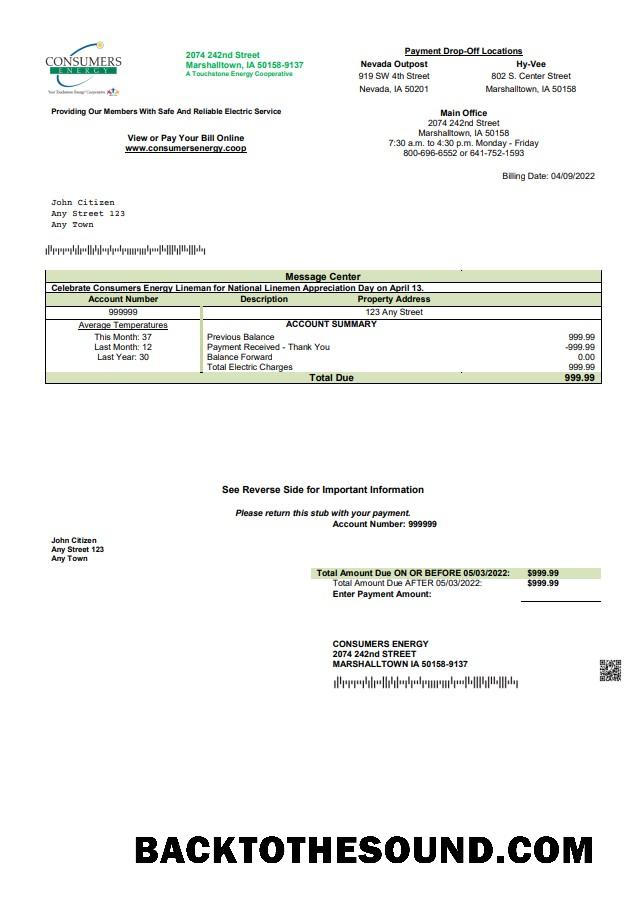 İndir ABD Consumers Energy Fatura Fatura in Word and PDF Format Örnek ön izleme