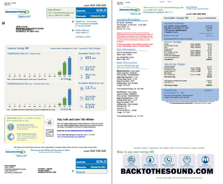 İndir ABD Consumers Energy Fatura Fatura in Word and PDF Formatlar, 2 pages Örnek tasarım