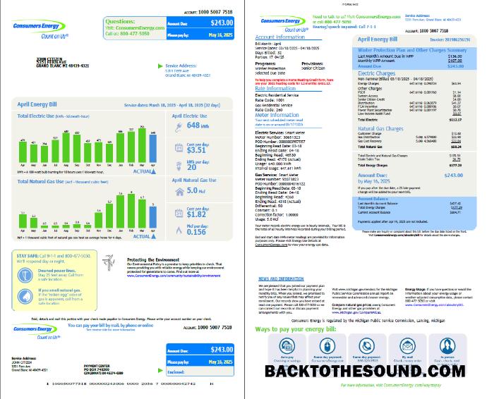 İndir ABD Consumers Energy Fatura Fatura in Word and PDF Formatlar, 2 pages, vesion 2 Örnek taslak