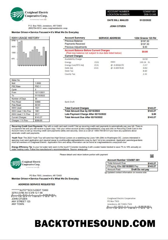 İndir ABD Craighead Electric Fatura Fatura in Word and PDF Format Örnek tasarım