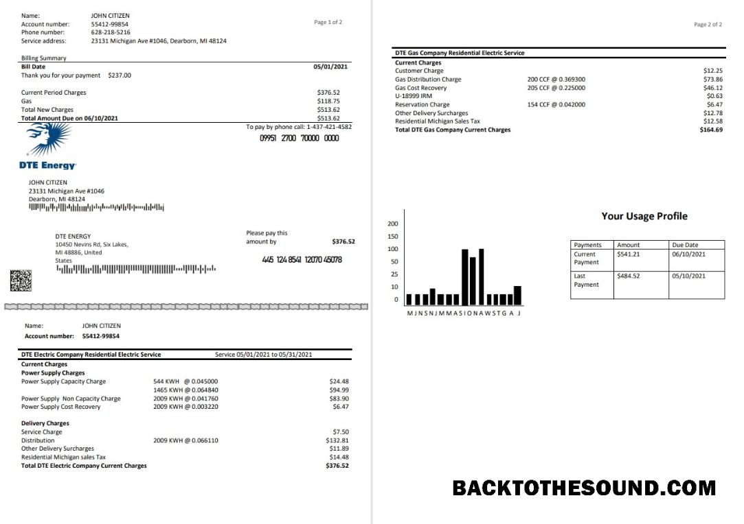 İndir ABD DTE Energy Fatura Fatura in Word and PDF Format (2 pages) Örnek şablon