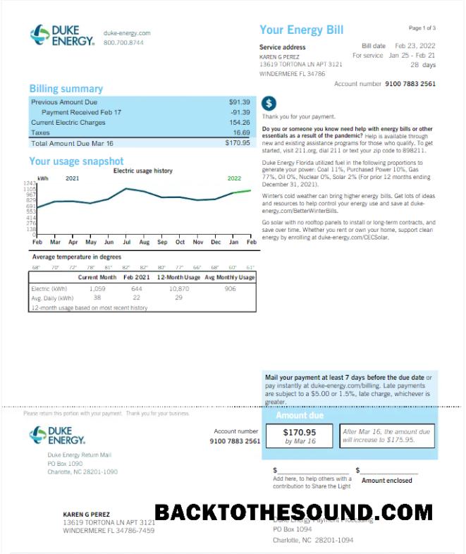 Gerçekçi İndir ABD DUKE ENERGY Fatura Fatura Word and PDF Şablon, Sürüm 2 Örnek