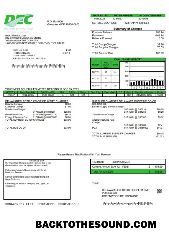 İndir ABD Delaware Electric Co op Fatura Fatura in Word and PDF Format Örnek taslak