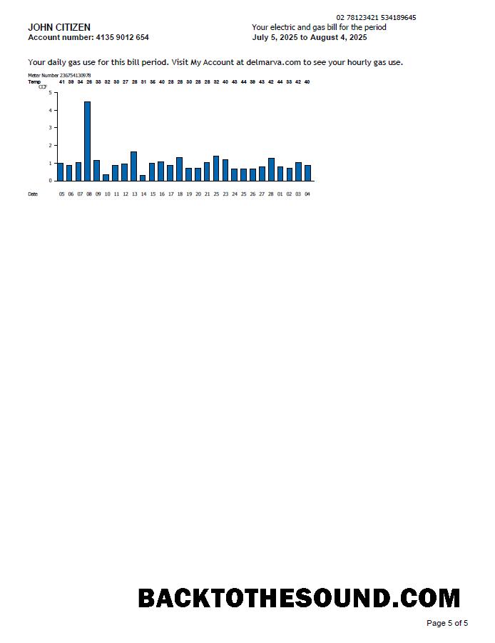 İndir ABD Delmarva Power Fatura Fatura in Word and PDF Formatlar, 5 pages, 5th Sayfa Örnek örnek