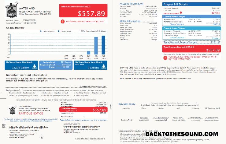 İndir ABD Detroit Su and Sewerage Department Fatura Fatura in Word and PDF Formatlar, 2 pages, Sürüm 3 Örnek taslak