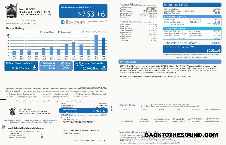 İndir ABD Detroit Su and Sewerage Department Fatura Fatura in Word and PDF Formatlar, 2 pages, Sürüm 5 Örnek örnek