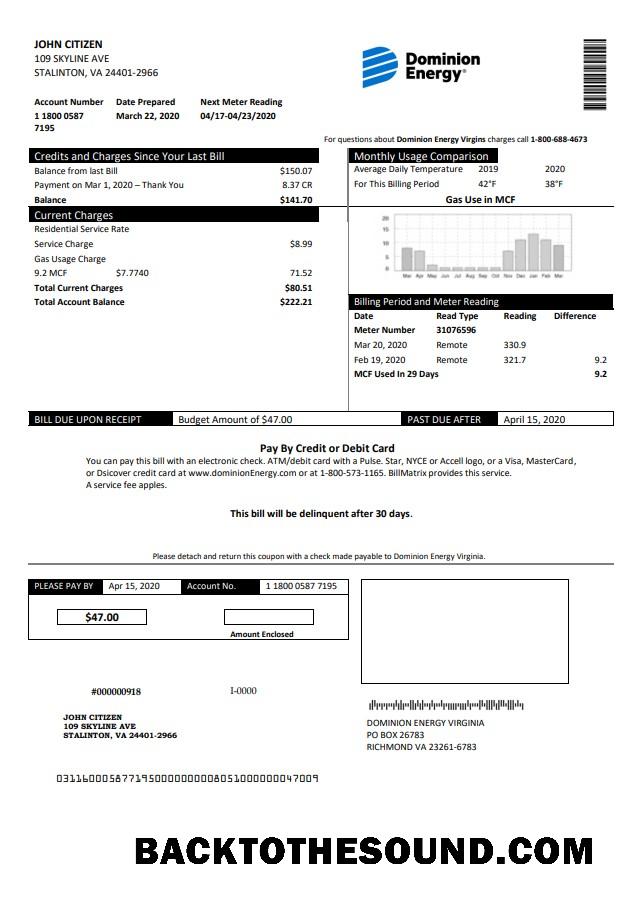 İndir ABD Dominion Energy Fatura Fatura in Word and PDF Format Örnek örnek