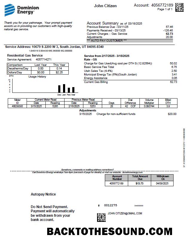 İndir ABD Dominion Energy Fatura Fatura in Word and PDF Formatlar, Sürüm 3 Örnek örnek