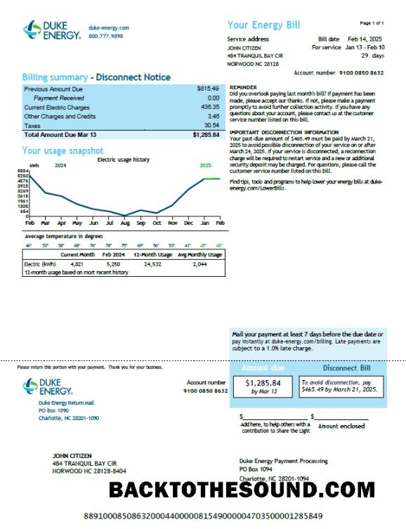 İndir ABD Duke Energy Fatura Fatura in Word and PDF Formatlar, Sürüm 2 Örnek tasarım