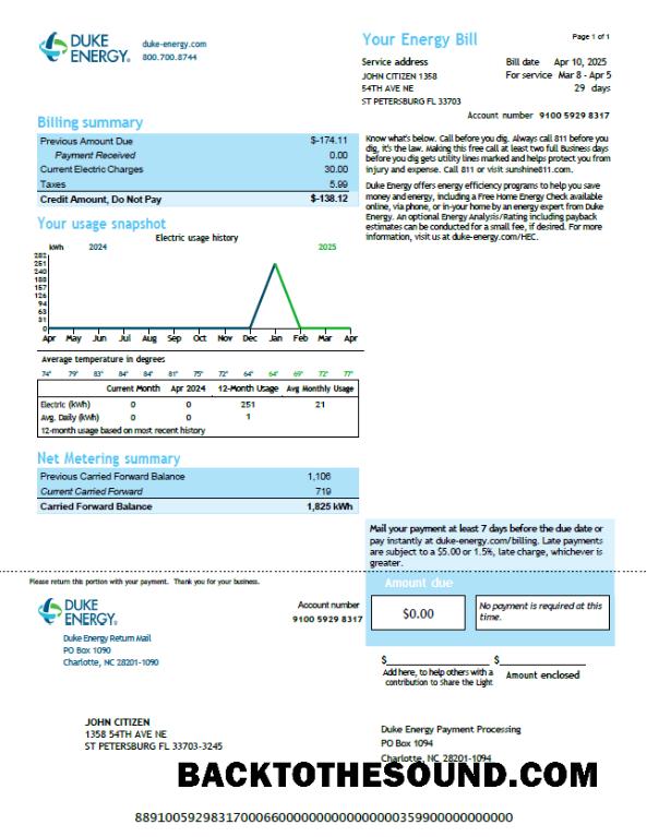 İndir ABD Duke Energy Fatura Fatura in Word and PDF Formatlar, Sürüm 4 Örnek örnek