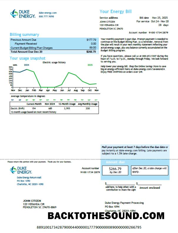 İndir ABD Duke Energy Fatura Fatura in Word and PDF Formatlar, Sürüm 6 Örnek şablon