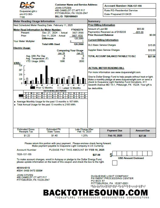 İndir ABD Duquesne Light Şirket Fatura Fatura in Word and PDF Formatlar Örnek tasarım