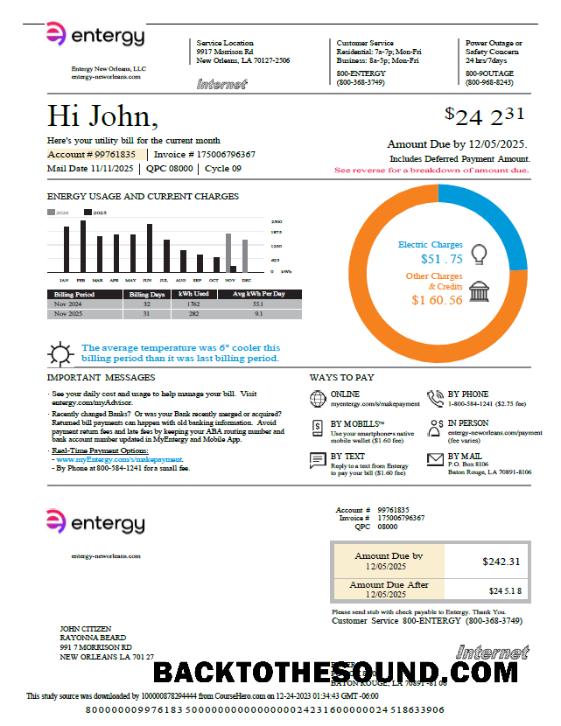 İndir ABD Entergy Fatura Fatura in Word and PDF Formatlar, Sürüm 2 Örnek ön izleme