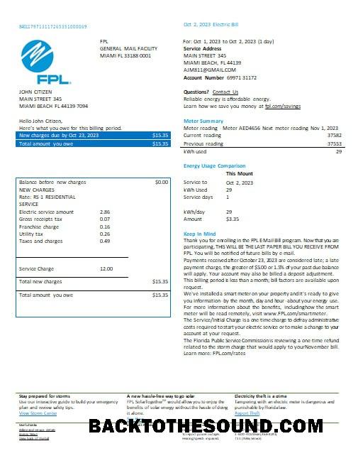 İndir ABD Florida FPL Elektrik Fatura Fatura Word and PDF Formatlar, Sürüm 2 Örnek şablon