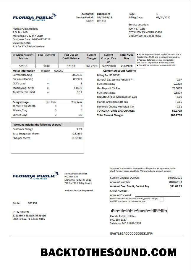 İndir ABD Florida Public Utilities Fatura Fatura in Word and PDF Format Örnek örnek