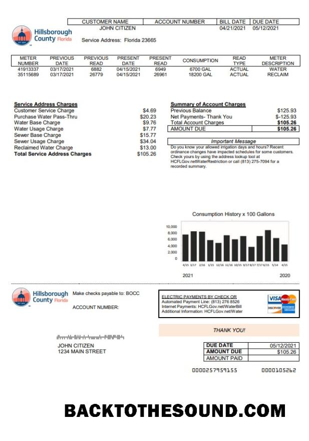 İndir ABD Hillsborough County Fatura Fatura in Word and PDF Format Örnek tasarım
