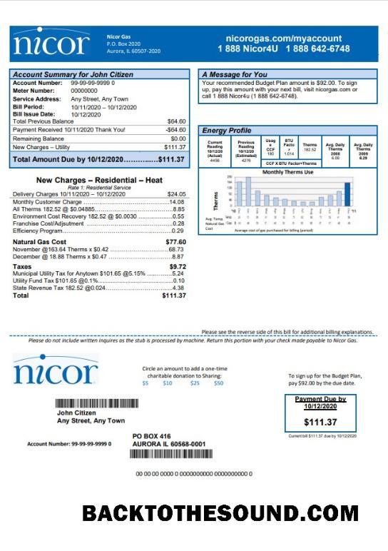 İndir ABD Illinois Nicor Gaz Fatura Fatura in Word and PDF Format Örnek tasarım