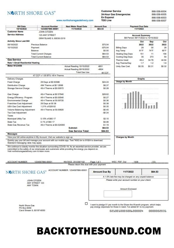 İndir ABD Illinois North Shore Gaz Fatura Fatura in Word and PDF Format Örnek tasarım
