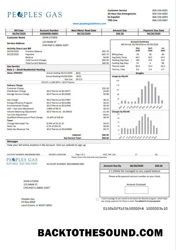 İndir ABD Illinois Peoples Gaz Fatura Fatura in Word and PDF Format Örnek ön izleme