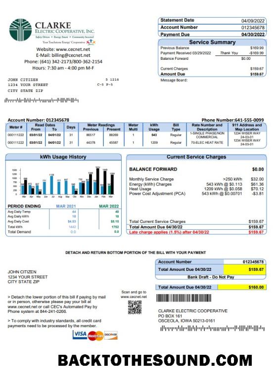 İndir ABD Iowa Clarke Electric Cooperative, Inc Fatura Fatura in Word and PDF Format Örnek şablon