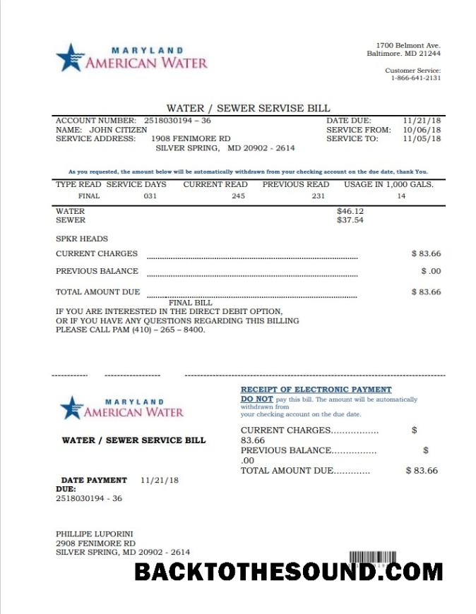 İndir ABD Maryland American Su Fatura Fatura in Word and PDF Format Örnek taslak