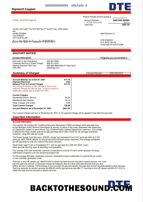 İndir ABD Michigan DTE Energy Fatura Fatura in Word and PDF Format Örnek örnek